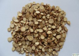 501021_7362%B8%CA%B2%DD