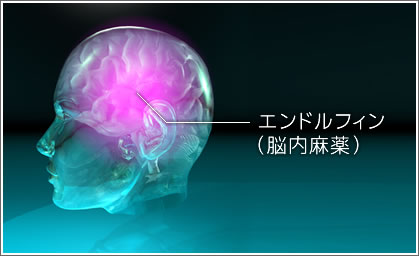 brain_image