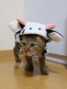 fa1a596e266f26ab394e168ce5b0c6b2_s