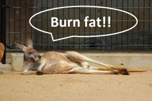 0e0c47bf3b9da7e021df8f774589821d_s