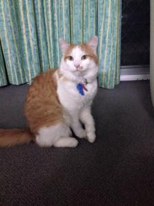 10993480_878849928841905_8538722917204158908_n