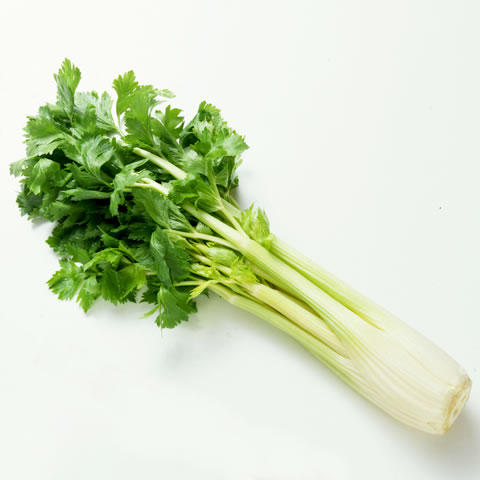 セロリ