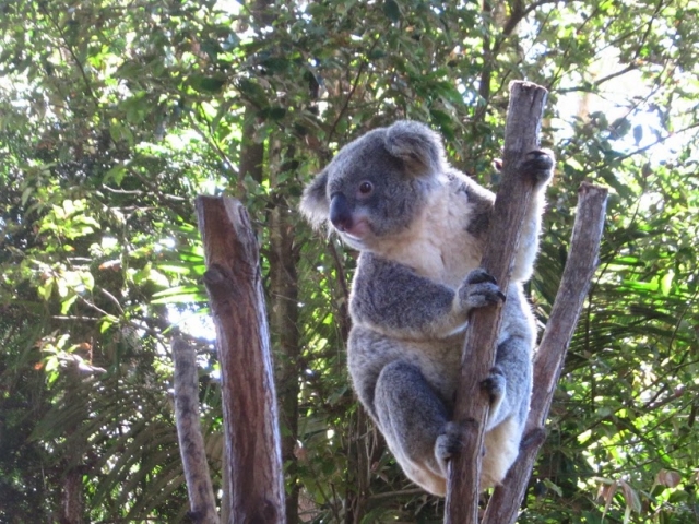 e0553c8e780eb3ca8e8870a51181ea0a_s